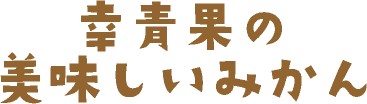 幸青果の美味しいみかん